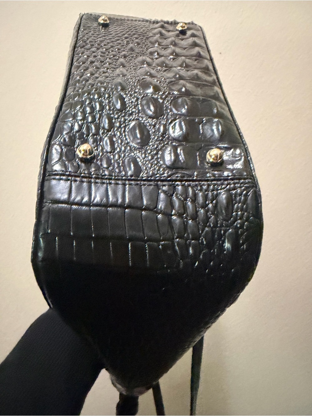 Brahmin - Picture 6 of 9